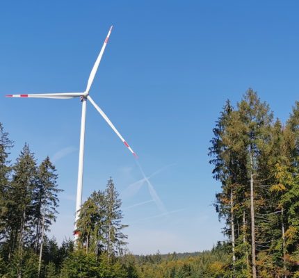 C.A.R.M.E.N. e.V. veranstaltet WebSeminar-Reihe zu „Windenergie im Wald – Natur- und Artenschutz“