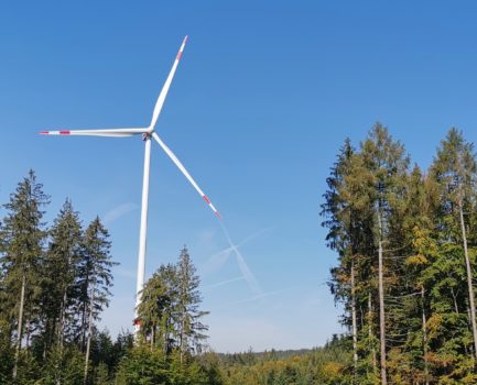 C.A.R.M.E.N. e.V. veranstaltet WebSeminar-Reihe zu „Windenergie im Wald – Natur- und Artenschutz“
