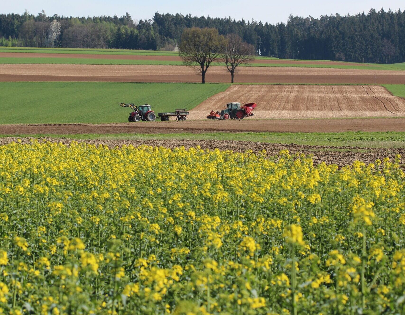 EU-Rahmen für die Zertifizierung von Kohlenstoffsenken ist auf dem Weg