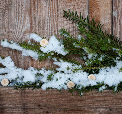 C.A.R.M.E.N. e.V. wünscht frohe und besinnliche Weihnachten!
