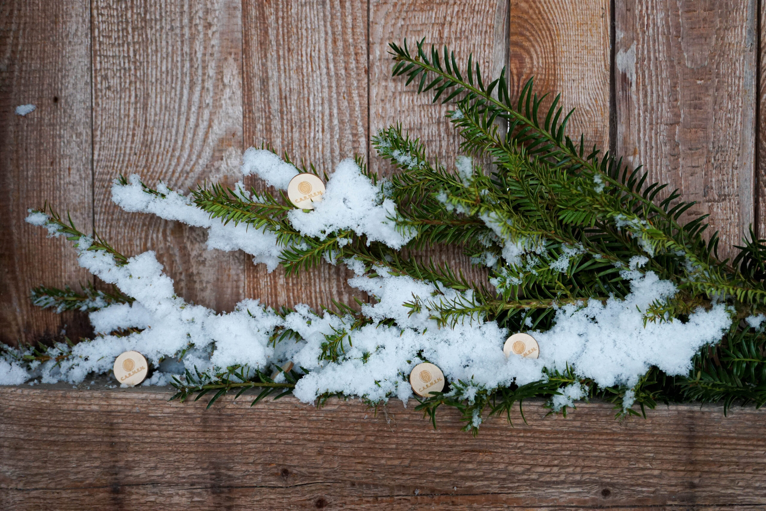 C.A.R.M.E.N. e.V. wünscht frohe und besinnliche Weihnachten!