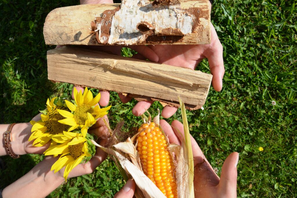 Die Nachwachsenden Rohstoffe Holz, Mais und Durchwachsende Silphie werden in den Händen haltend präsentiert.
