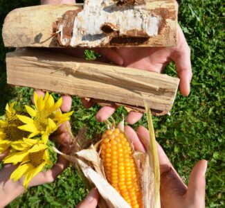 Die Nachwachsenden Rohstoffe Holz, Mais und Durchwachsende Silphie werden in den Händen haltend präsentiert.