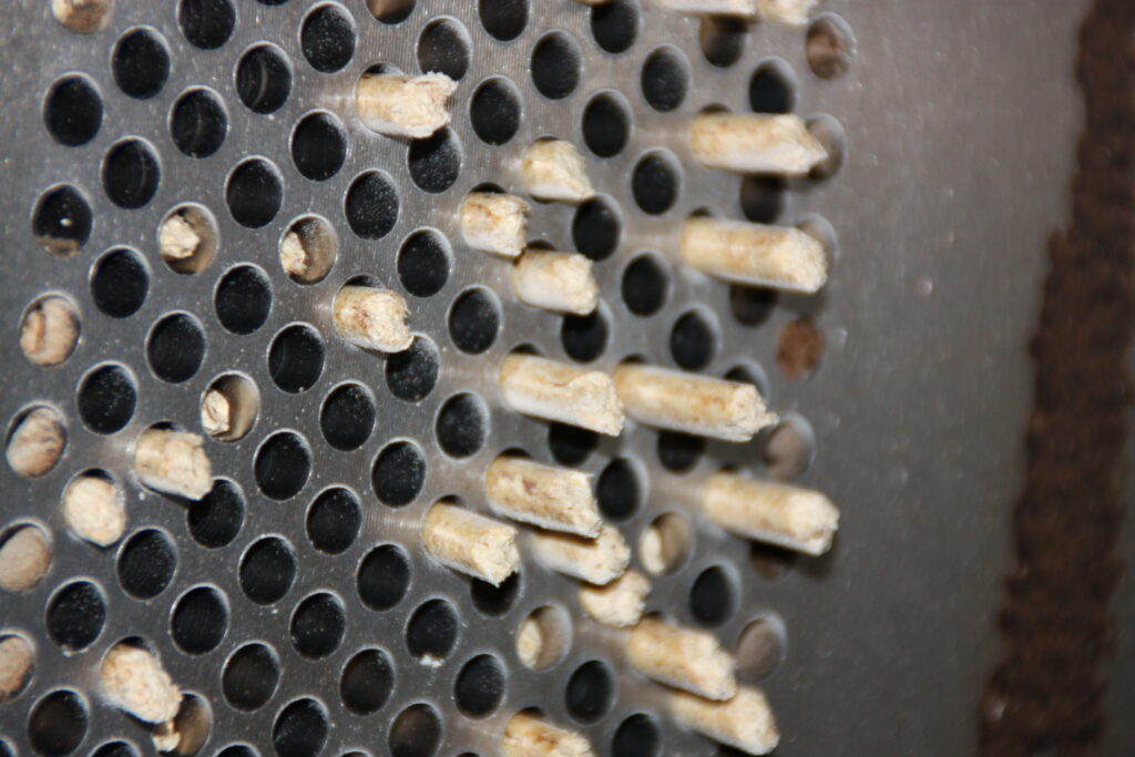 Holzpellets in der Produktion. 