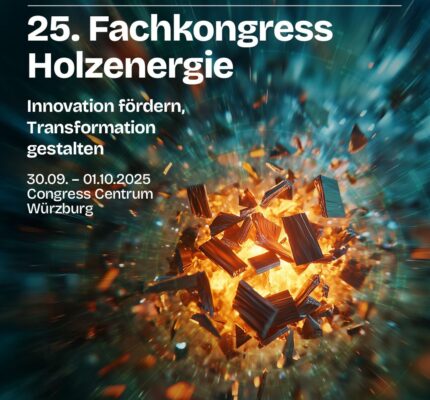 25. Fachkongress Holzenergie