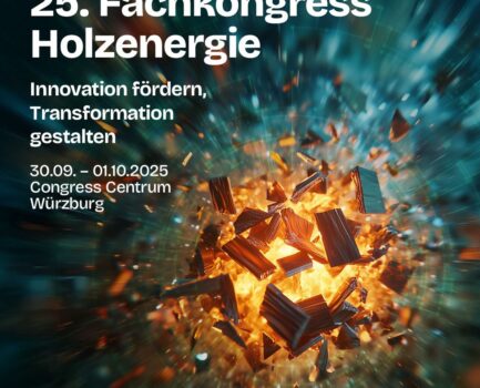 25. Fachkongress Holzenergie