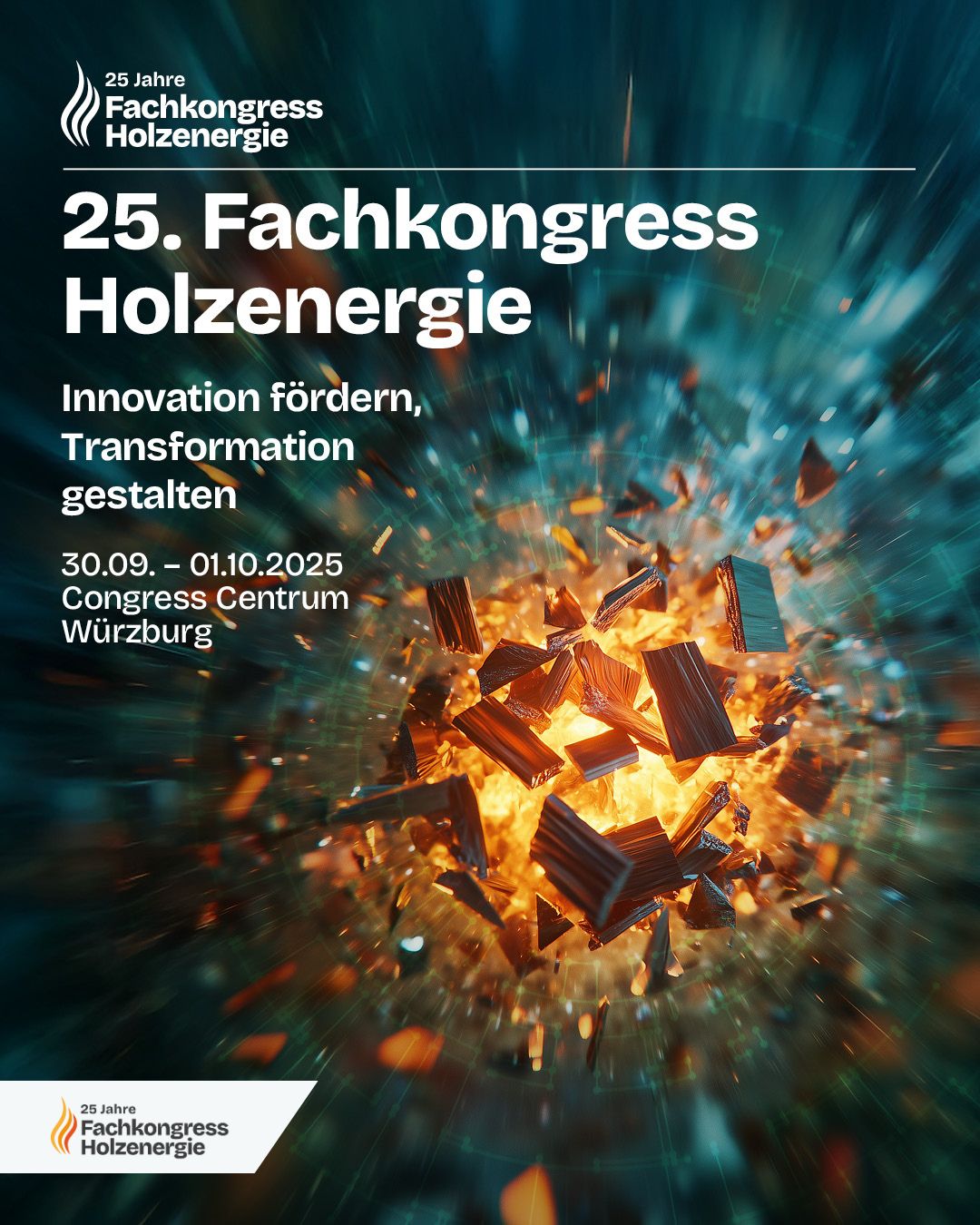 25. Fachkongress Holzenergie