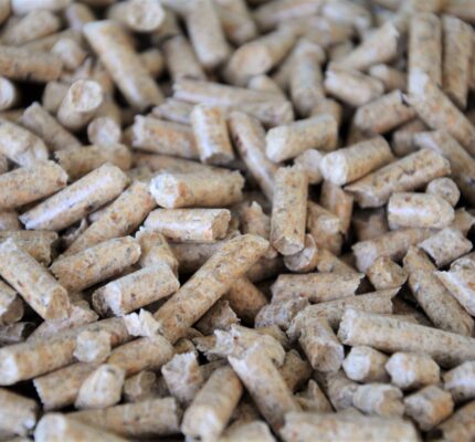 Holzpellets als nachhaltige Heizoption: Broschüre gibt Orientierungshilfe