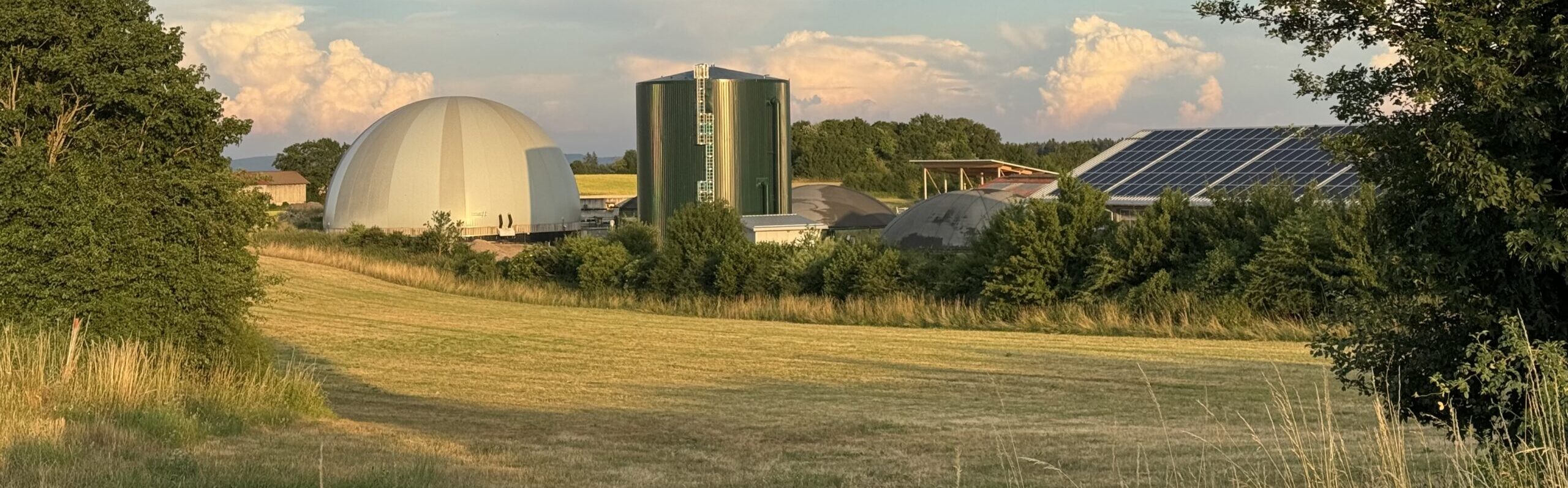 Tagung: Optimierungslösungen für den wirtschaftlichen Weiterbetrieb von Biogasanlagen (vor Ort & digital)