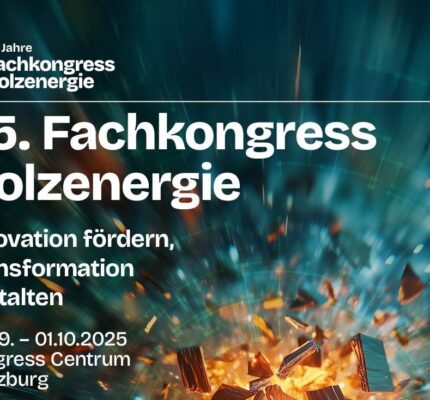 Branchenumfage anlässlich des 25. Fachkongresses Holzenergie