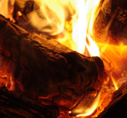 Der rechtskonforme Umgang mit Holz- und Pflanzenaschen