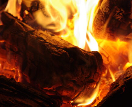 Der rechtskonforme Umgang mit Holz- und Pflanzenaschen