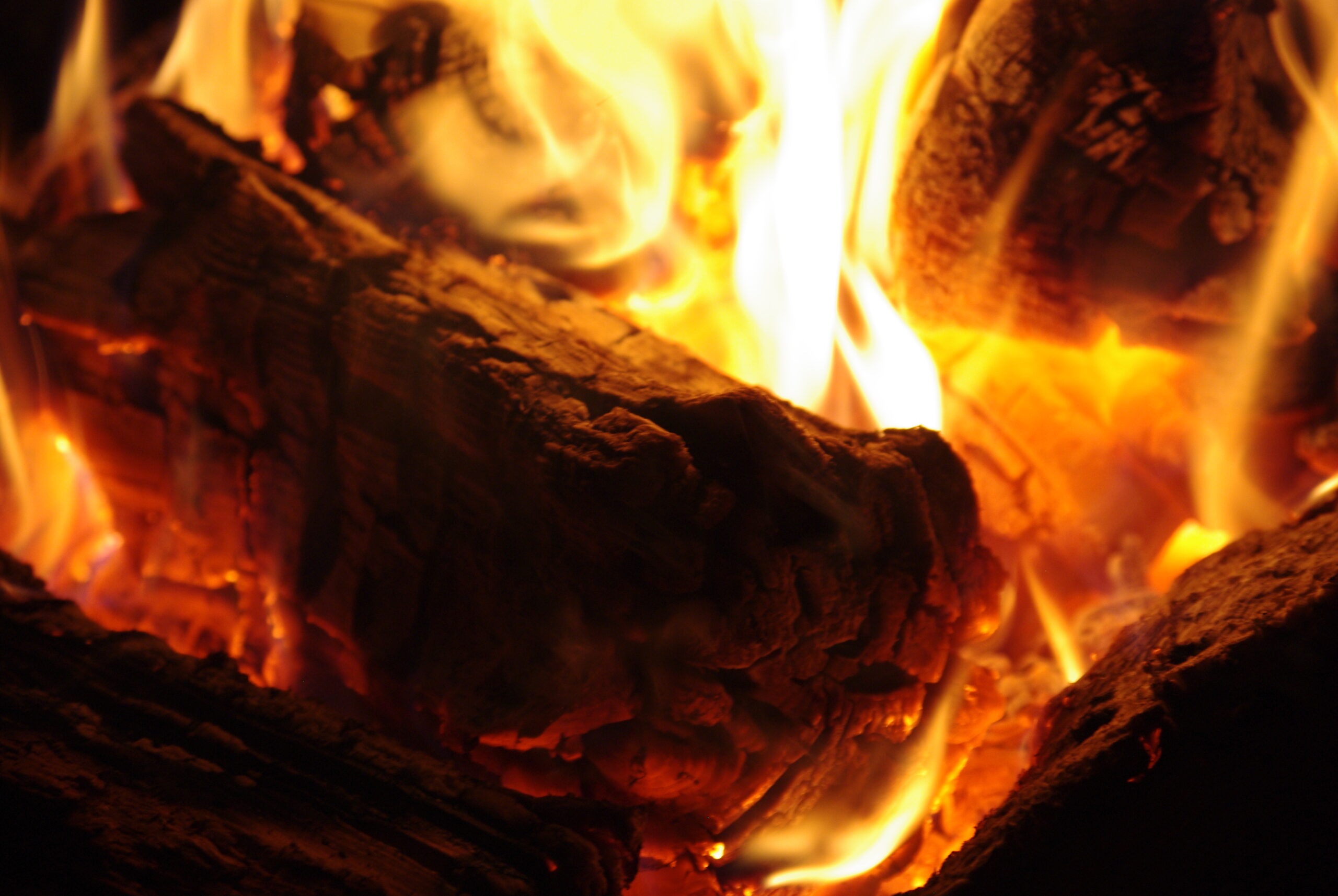 Der rechtskonforme Umgang mit Holz- und Pflanzenaschen