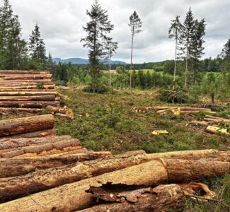 WhatsApp Image 2025-10-30 at 16.11.42 (1)