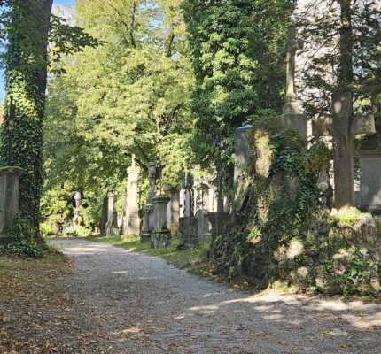 Nachhaltige Friedhofsgestaltung: Mehr Natur auf Gräbern