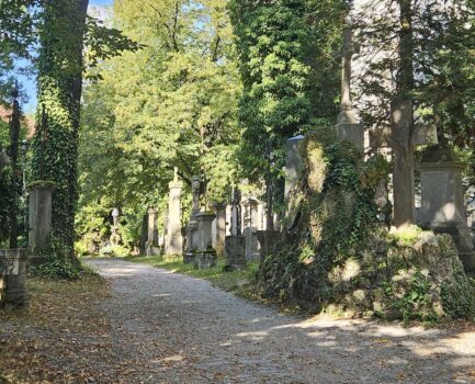 Nachhaltige Friedhofsgestaltung: Mehr Natur auf Gräbern