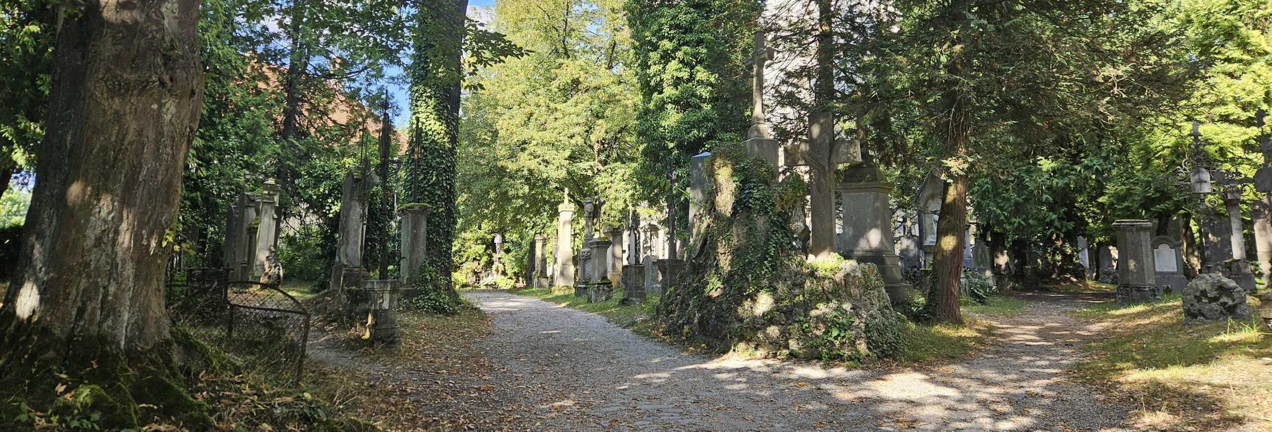 Nachhaltige Friedhofsgestaltung: Mehr Natur auf Gräbern