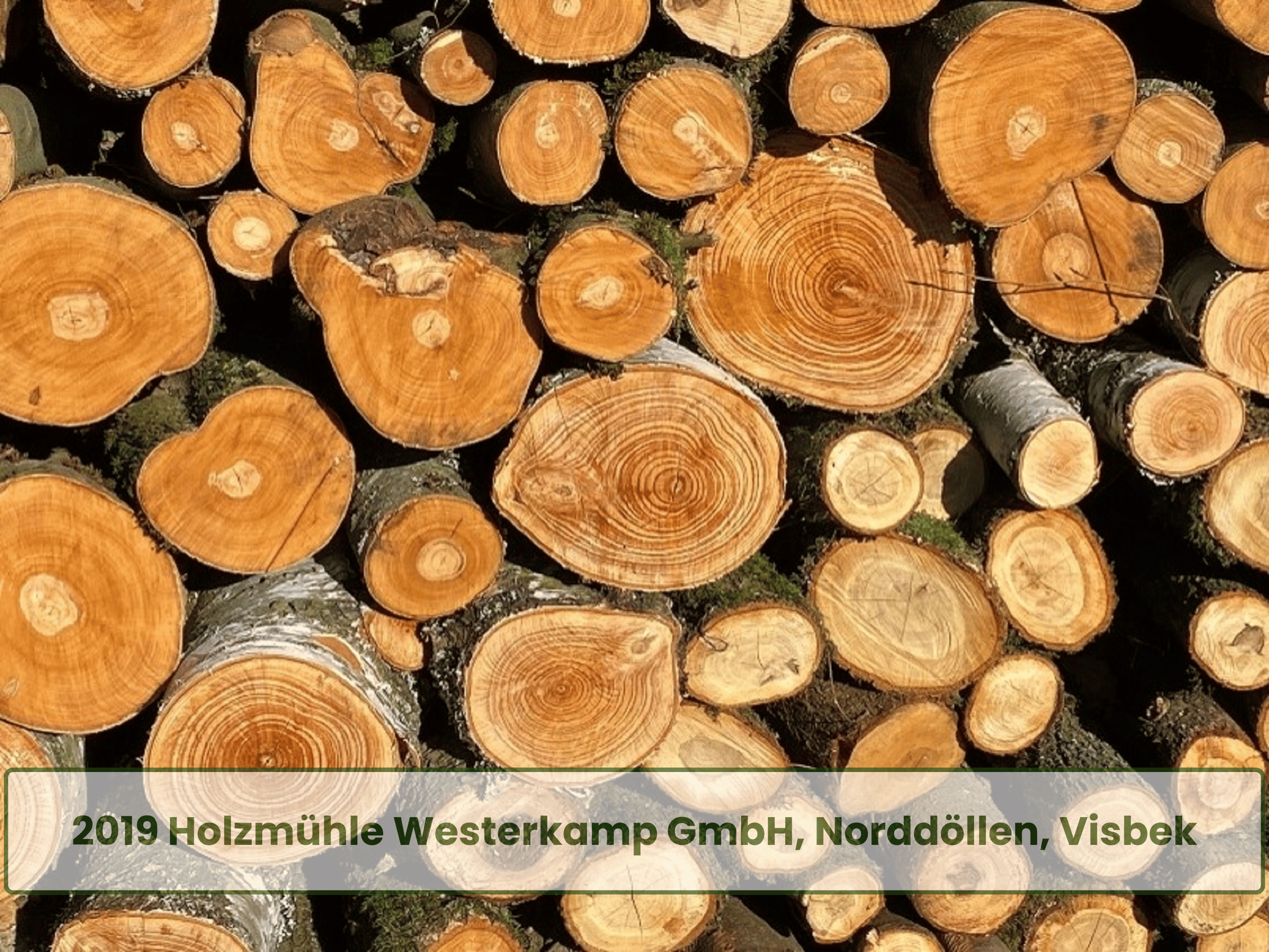 Ernst-Pelz-Preis 1_klein(6)