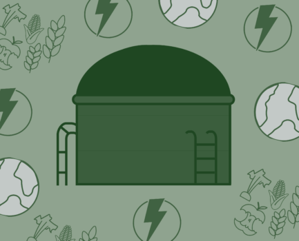 🌱 Biogas: Multitalent für Energie, Rohstoffe und Klimaschutz