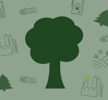 Zukunft von Wald, Holz und regionaler Wertschöpfung – spannende Impulse, innovative Ansätze und wertvoller Austausch beim Symposium!