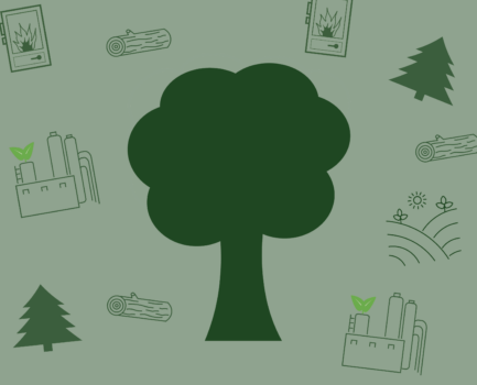 Zukunft von Wald, Holz und regionaler Wertschöpfung – spannende Impulse, innovative Ansätze und wertvoller Austausch beim Symposium!