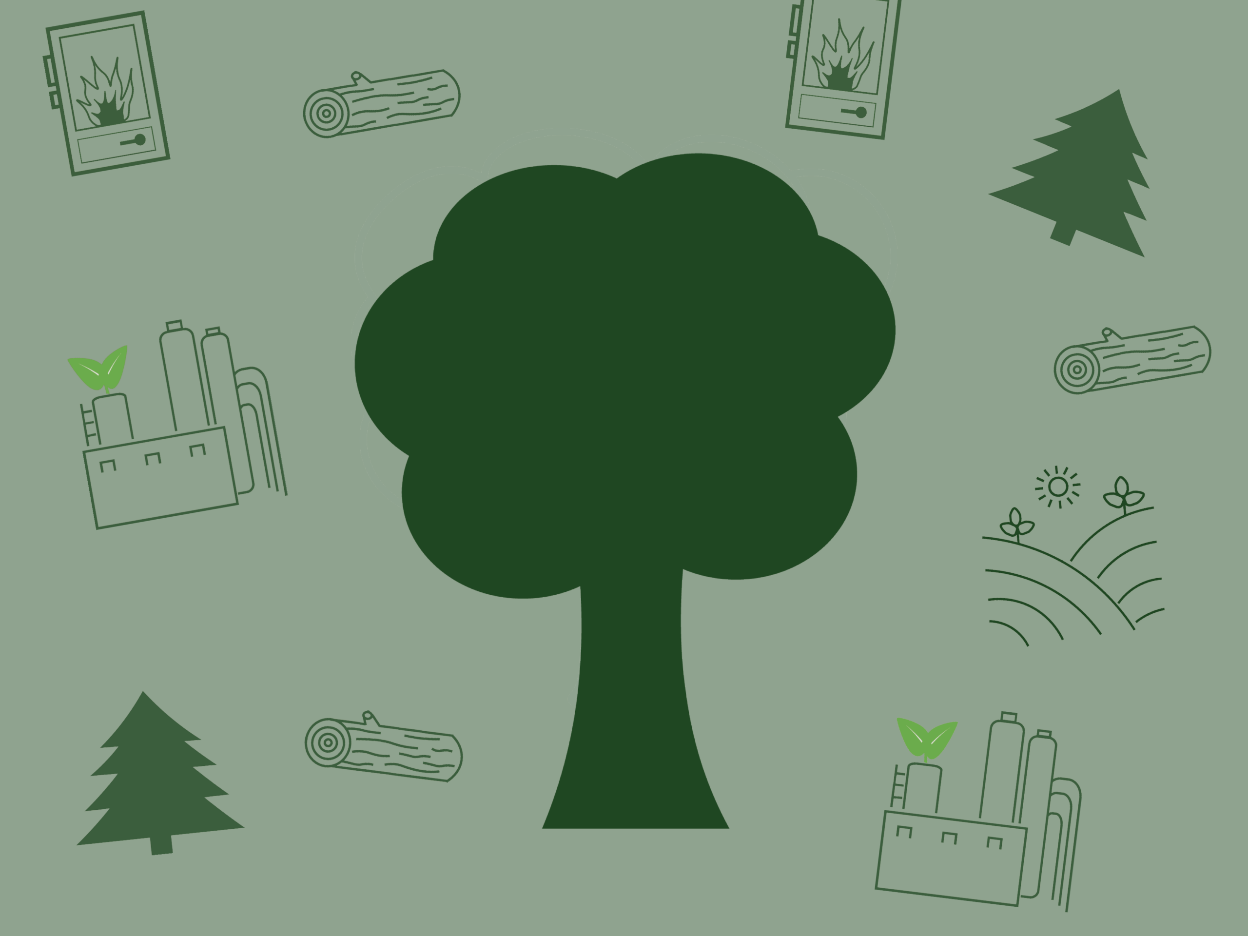 Zukunft von Wald, Holz und regionaler Wertschöpfung – spannende Impulse, innovative Ansätze und wertvoller Austausch beim Symposium!