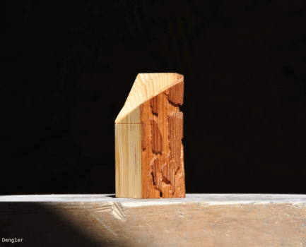 Bayerischer Klimaschutzpreis 2026