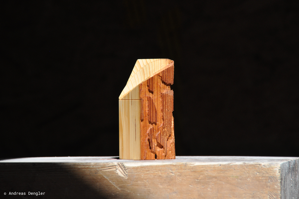 Bayerischer Klimaschutzpreis 2026