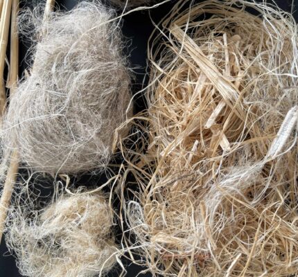 Workshop-Reihe 2026: Dialogforum Nutzhanf & Naturfasern