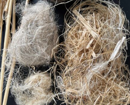 Workshop-Reihe 2026: Dialogforum Nutzhanf & Naturfasern