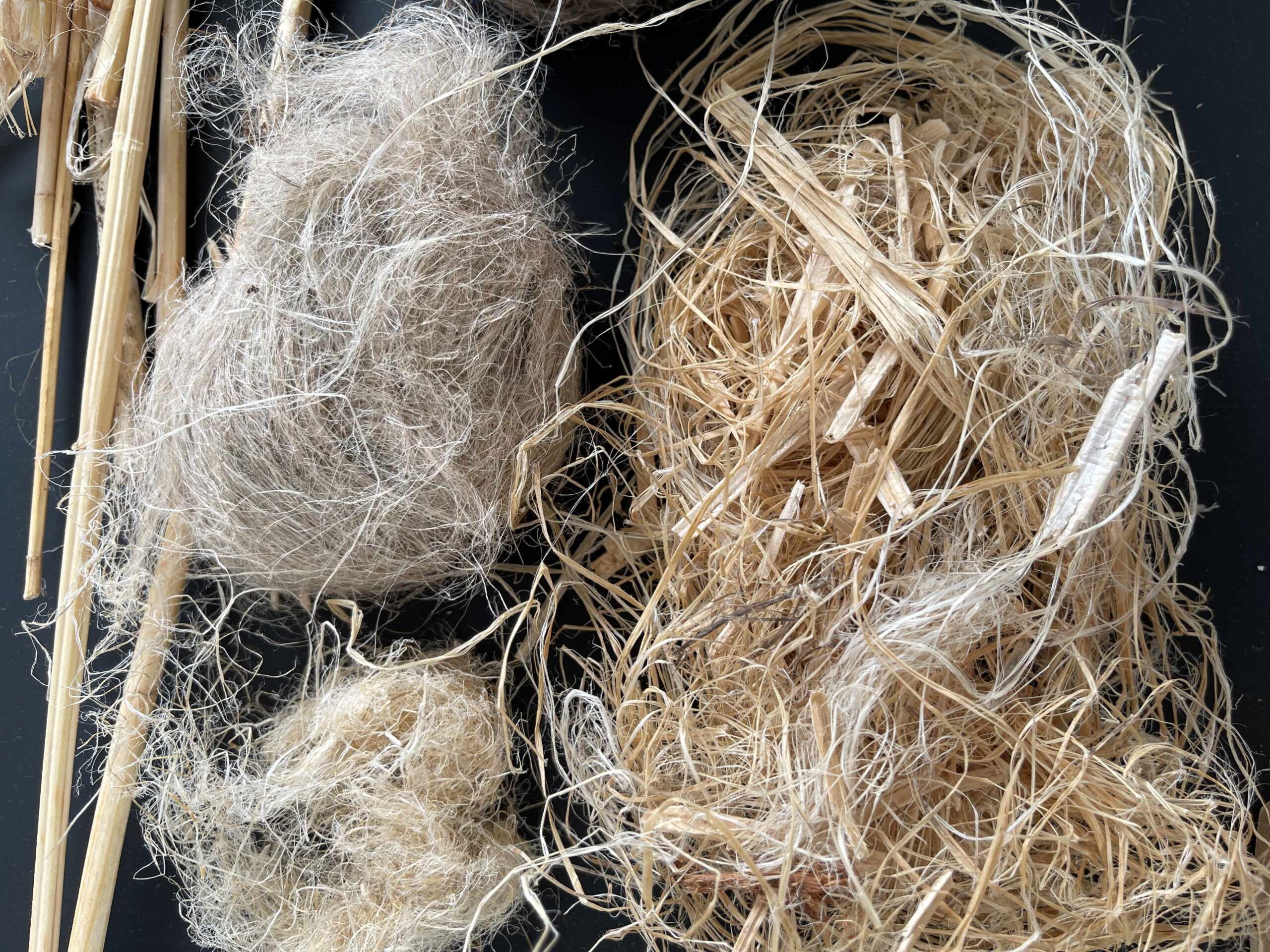 Workshop-Reihe 2026: Dialogforum Nutzhanf & Naturfasern