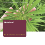 Nutzhanf-–-ein-oft-verkanntes-Universaltalent_Titel-150x150.png