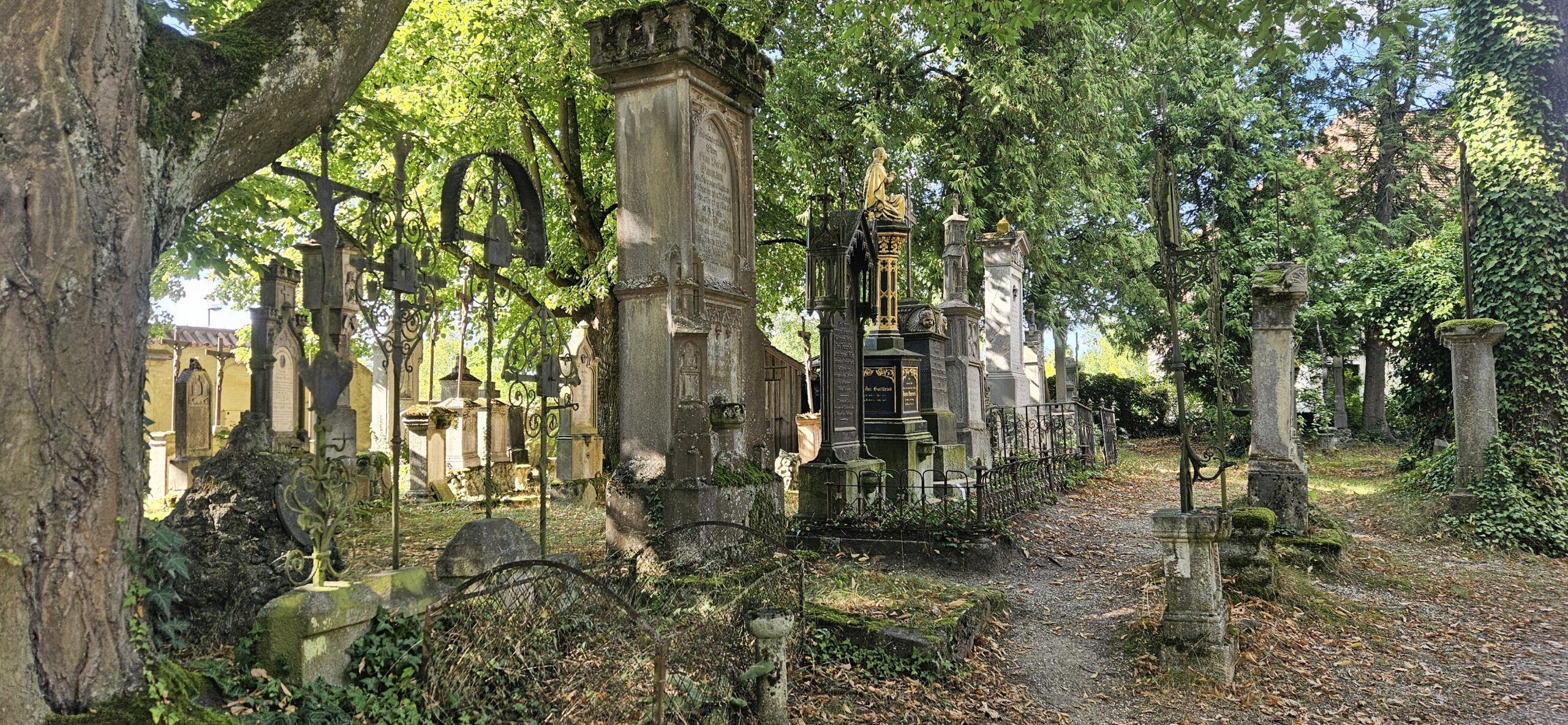 C.A.R.M.E.N.-Check: Nachhaltige Grabgestaltung