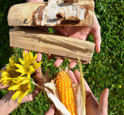 C.A.R.M.E.N. e.V. nimmt am Girls’Day 2026 teil