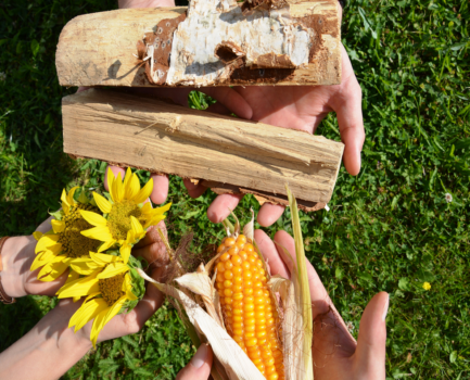 C.A.R.M.E.N. e.V. nimmt am Girls’Day 2026 teil