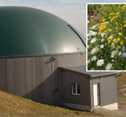 Warum Biogas und Ökolandbau perfekt zusammen passen?