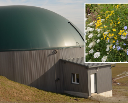 Warum Biogas und Ökolandbau perfekt zusammen passen?