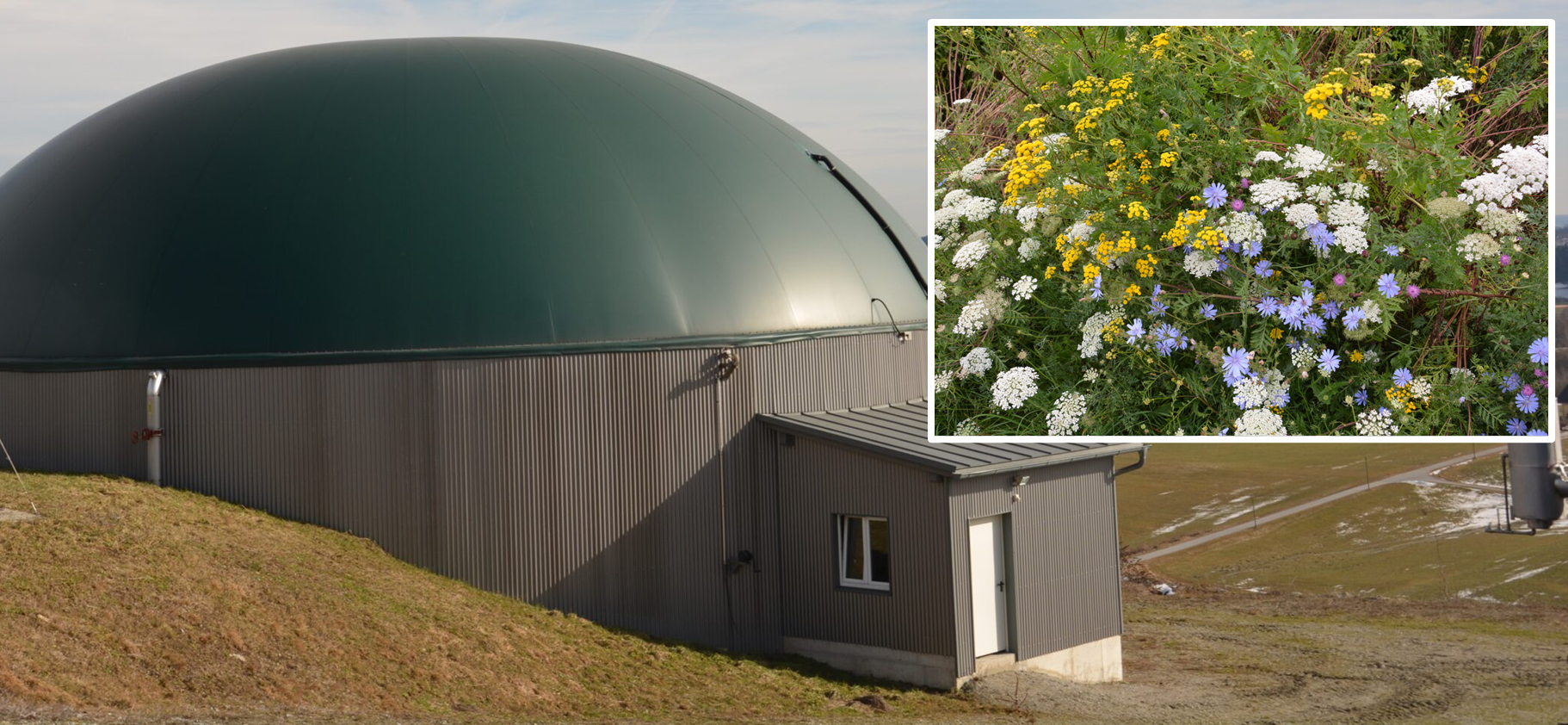 Warum Biogas und Ökolandbau perfekt zusammen passen?