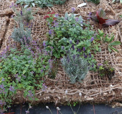 C.A.R.M.E.N.-WebSeminar „Schafwolle in Garten- und Landschaftsbau“ am 20.05.2026