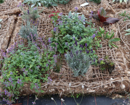 C.A.R.M.E.N.-WebSeminar „Schafwolle in Garten- und Landschaftsbau“ am 20.05.2026