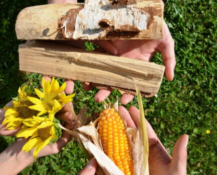 Girls’Day bei C.A.R.M.E.N. e.V.