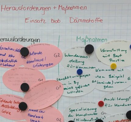 Hemmnisse und Lösungsansätze bei der Förderung biobasierter Dämmstoffe