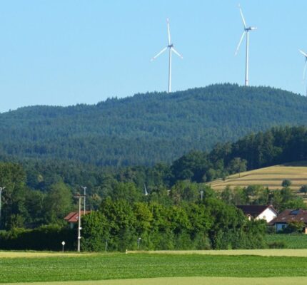 34. C.A.R.M.E.N.-Symposium in Straubing: Impulse für die Energie- und Rohstoffwende
