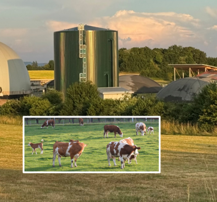Maithink X hat Biogas übersehen!