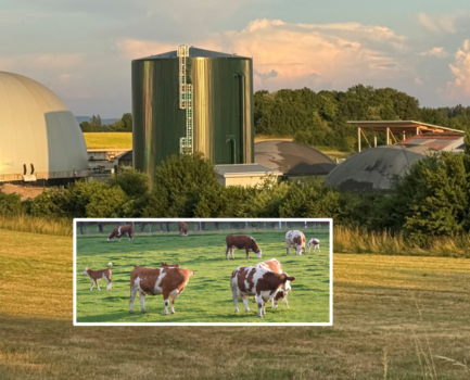 Maithink X hat Biogas übersehen!