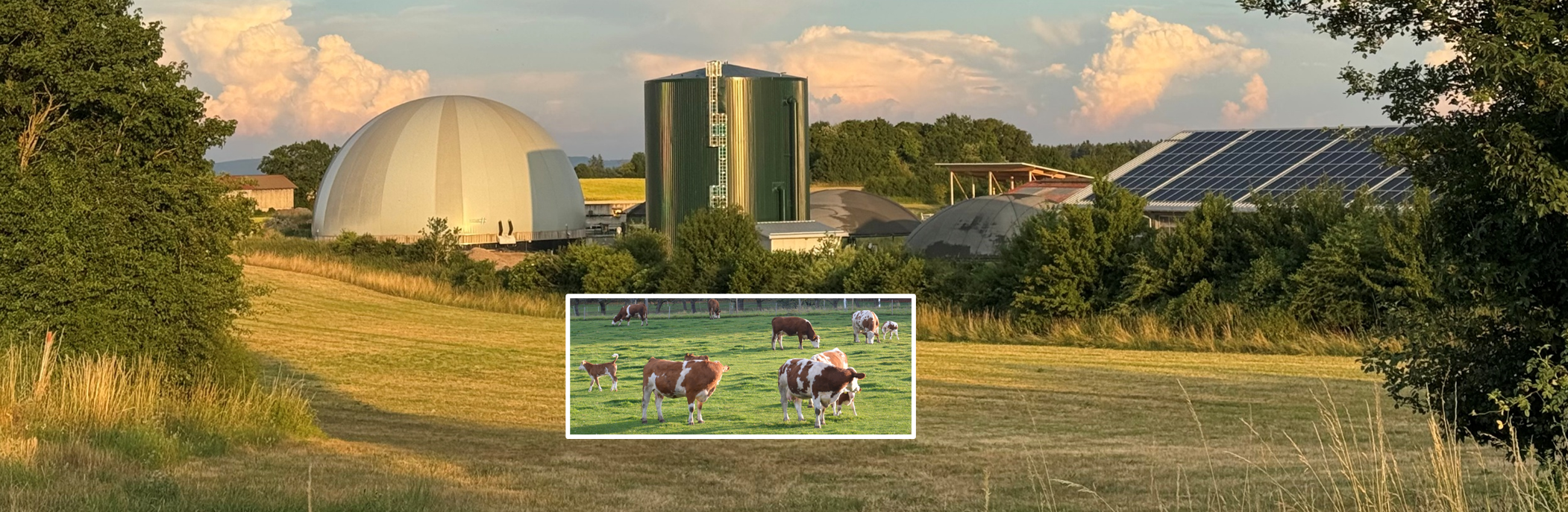 Maithink X hat Biogas übersehen!