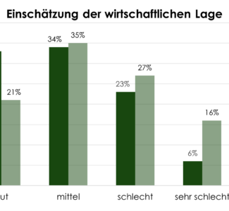 Einschätzung wirtschaftliche Lage
