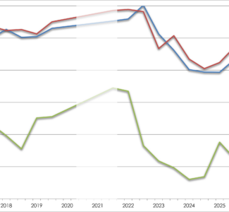 Grafik Entwicklung