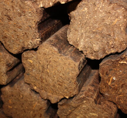 Marktstichprobe: Nur jedes zweite Holzbrikett erfüllt die Normvorgaben