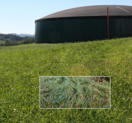 Honorierung von Ökoleistungen für Biogas nutzen